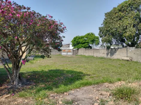 imagem 5 - Rural - Chácara imagem 5 - Rural - Chácara