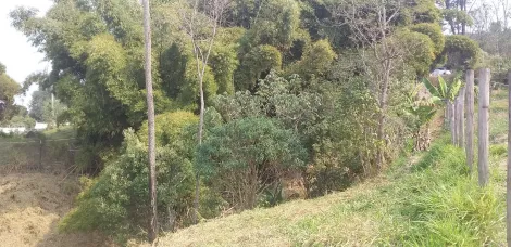 imagem 2 - Terreno - Área imagem 2 - Terreno - Área