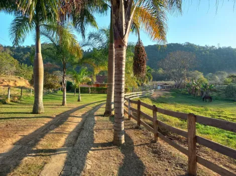 imagem 4 - Rural - Sítio imagem 4 - Rural - Sítio