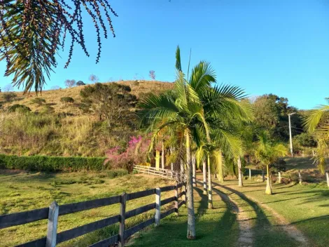 imagem 1 - Rural - Sítio imagem 1 - Rural - Sítio