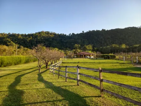 imagem 3 - Rural - Sítio imagem 3 - Rural - Sítio