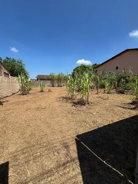 imagem 2 - Terreno 500 m² Cidade Jardim - Excelente localização imagem 2 - Terreno 500 m² Cidade Jardim - Excelente localização